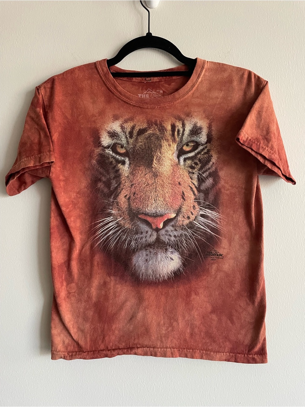 The Mountain Graphic Tee Burnt Orange Tiger Tie Dye Gorpcore Youth M
